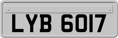 LYB6017