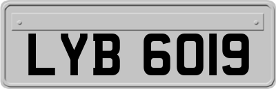 LYB6019