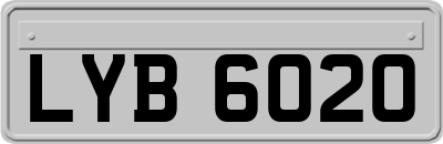 LYB6020