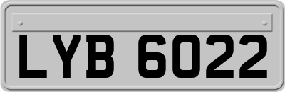 LYB6022