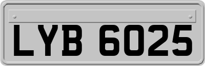 LYB6025