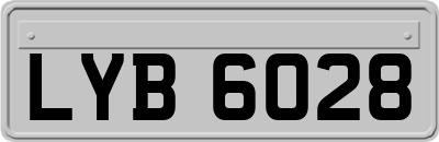 LYB6028