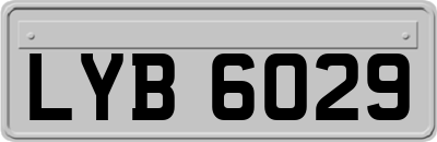 LYB6029