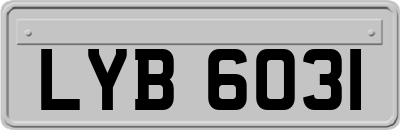 LYB6031