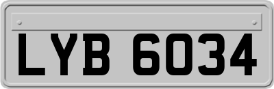 LYB6034