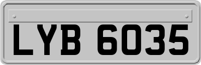 LYB6035