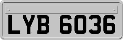 LYB6036