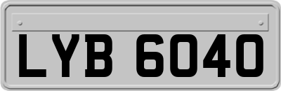 LYB6040