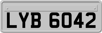LYB6042