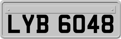 LYB6048