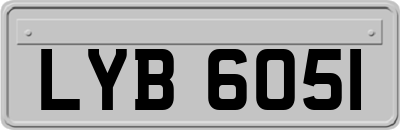 LYB6051