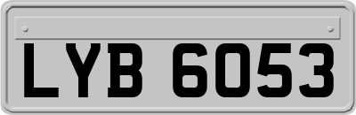 LYB6053