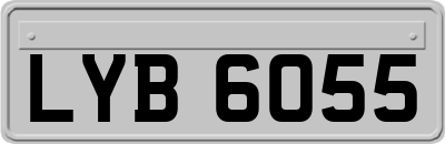 LYB6055