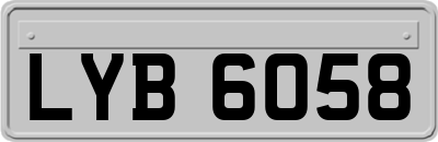 LYB6058