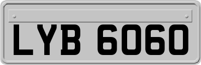 LYB6060