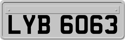 LYB6063