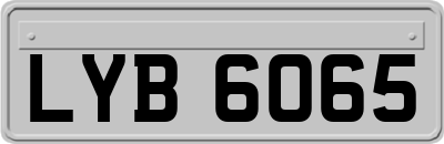 LYB6065