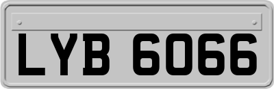 LYB6066