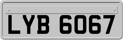 LYB6067