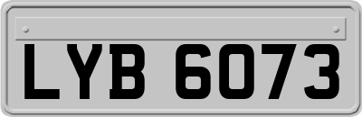LYB6073