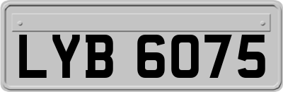 LYB6075