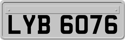 LYB6076