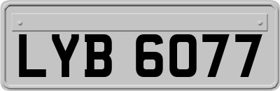 LYB6077