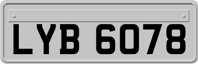 LYB6078