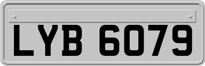 LYB6079