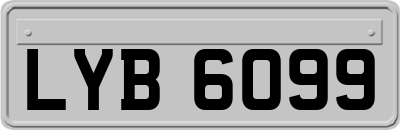 LYB6099