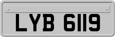 LYB6119