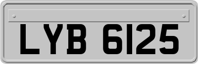 LYB6125