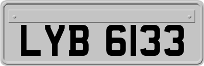 LYB6133