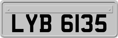 LYB6135