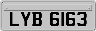 LYB6163
