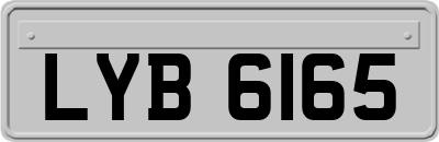 LYB6165