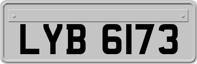 LYB6173