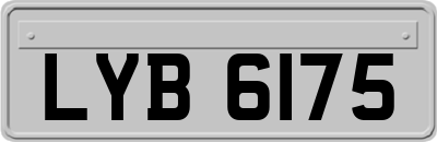 LYB6175