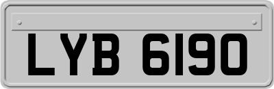 LYB6190