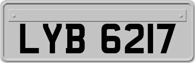 LYB6217