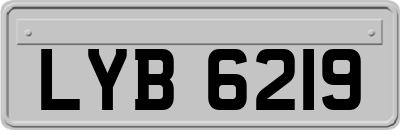 LYB6219