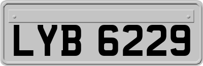 LYB6229