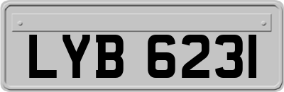 LYB6231