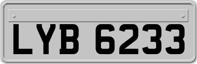LYB6233