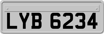 LYB6234