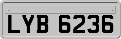 LYB6236