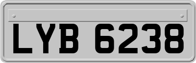 LYB6238