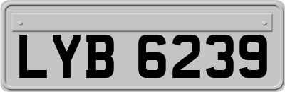 LYB6239