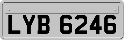 LYB6246
