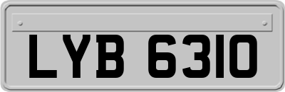 LYB6310